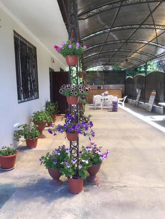 Отдых Гостевой дом Валерия - Территория