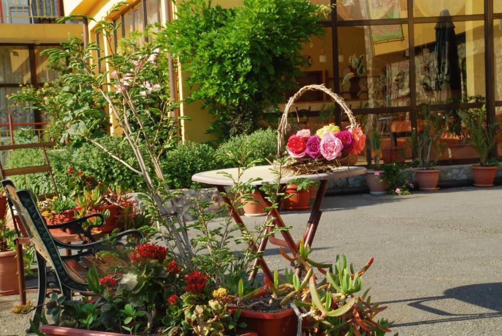 Отдых Отель Trakia Garden - Территория