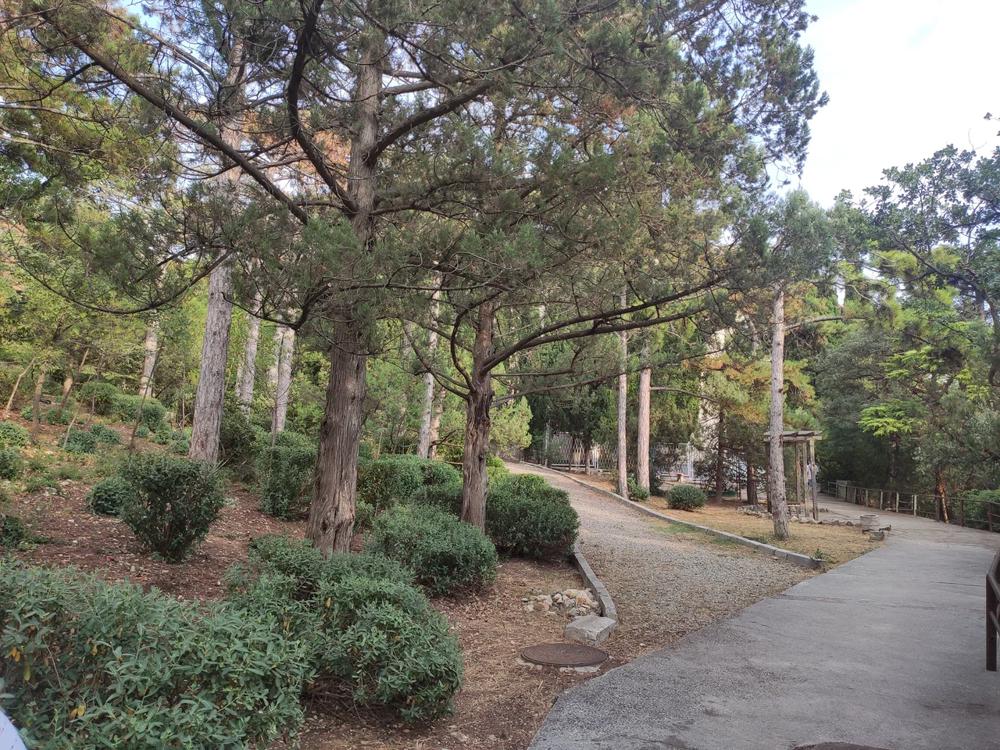 Отдых Отель Ай-Тодор-Юг - Территория