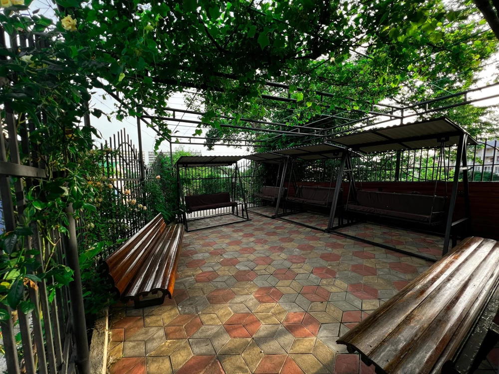 Отдых Гостевой дом Олимп - Территория