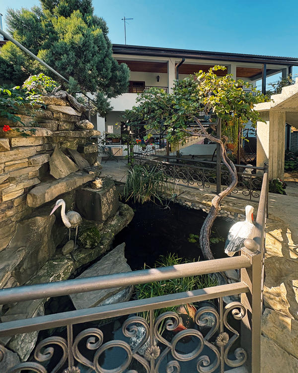 Отдых Гостевой дом У Людмилы - Территория