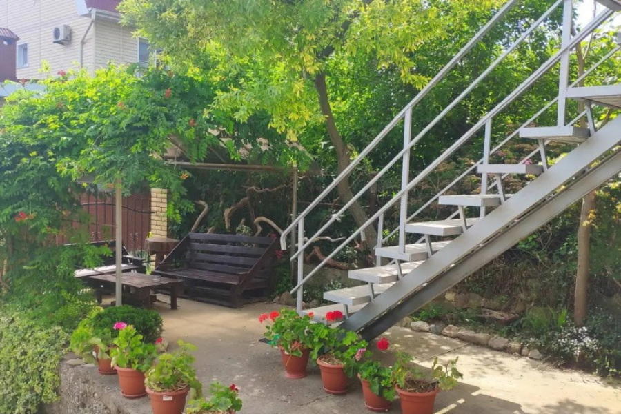 Отдых Гостевой дом Золотая рыбка - Территория