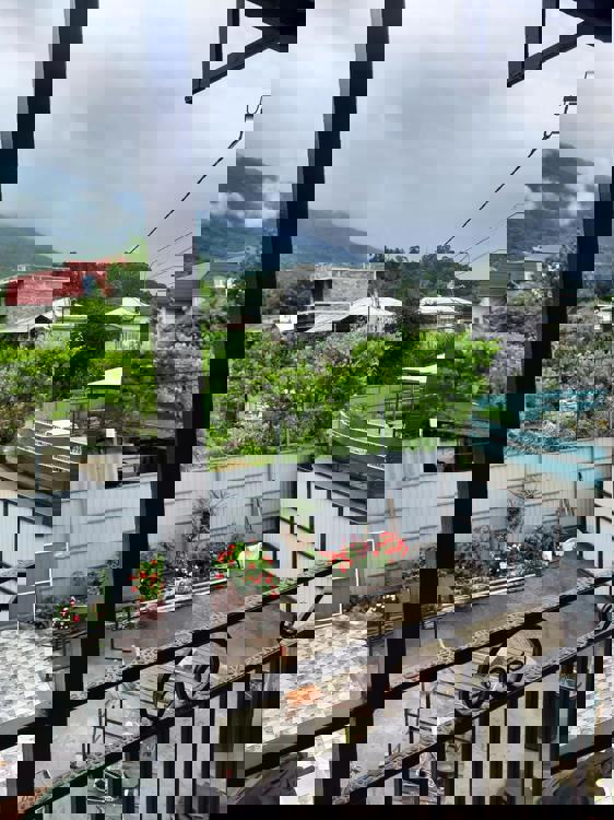 Отдых Гостевой дом Южная ночь - Территория