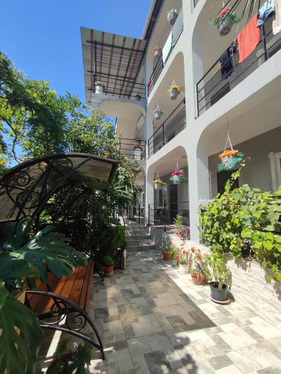 Отдых Гостевой дом Изумрудный - Территория