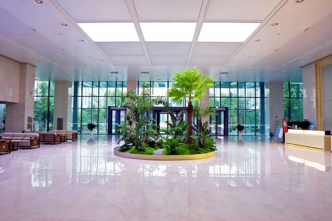 Отдых Отель Beijing CSN Pearl Hotel 4* - Холл