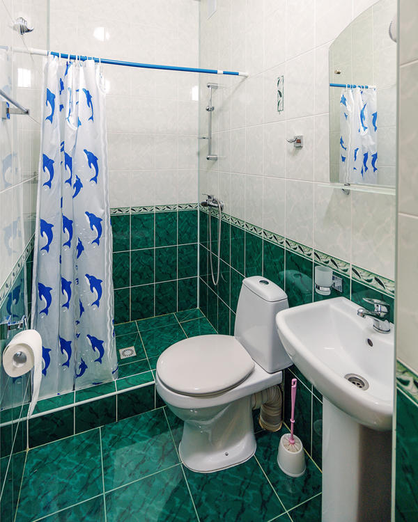 Отдых Гостевой дом Георгий - WC