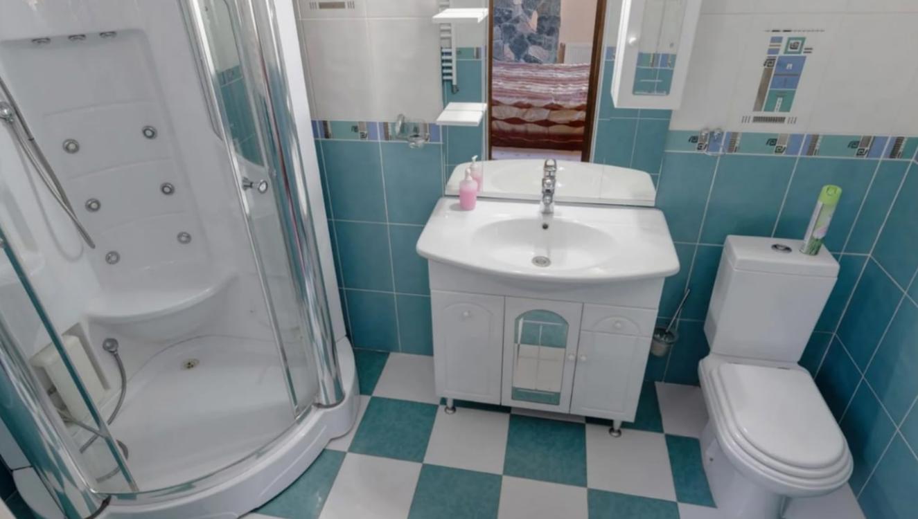 Отдых Отель Гоначхир - WC