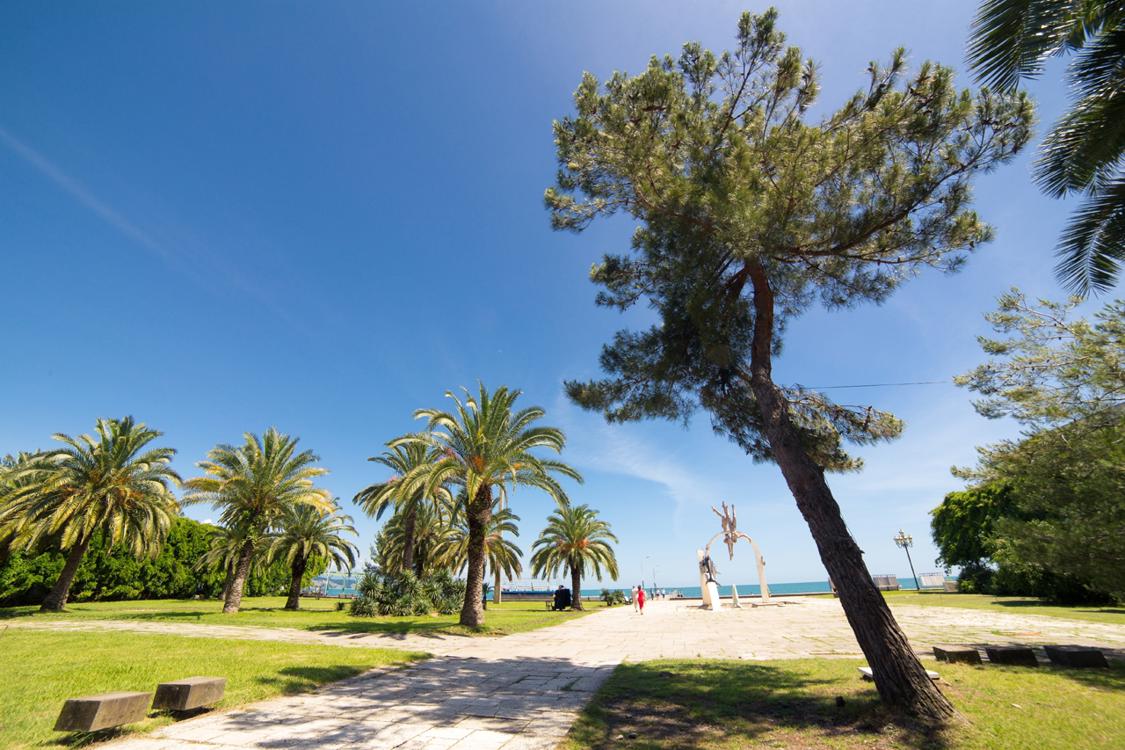 Отдых База отдыха Курорт Пицунда - Территория