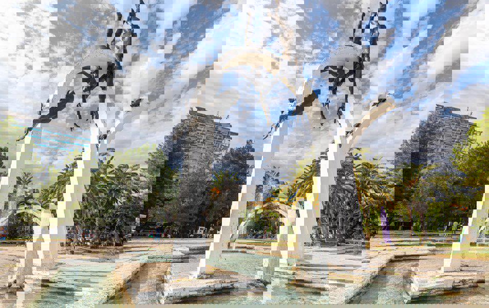 Отдых База отдыха Курорт Пицунда - Территория