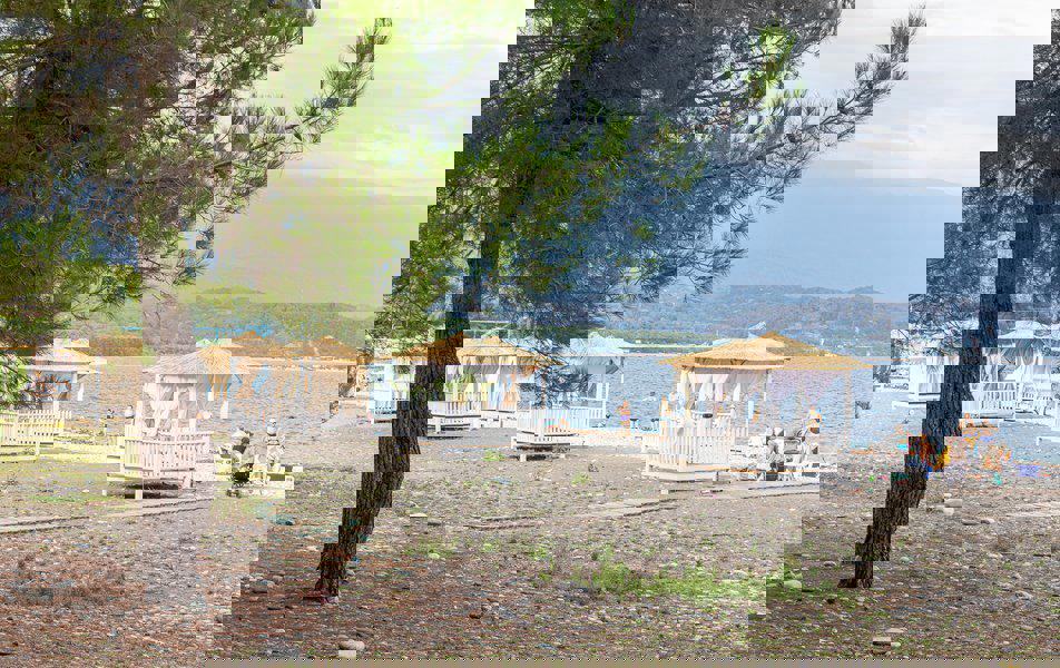 Отдых База отдыха Курорт Пицунда - Пляж