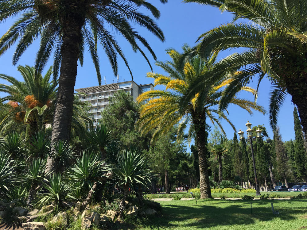 Отдых База отдыха Курорт Пицунда - Территория