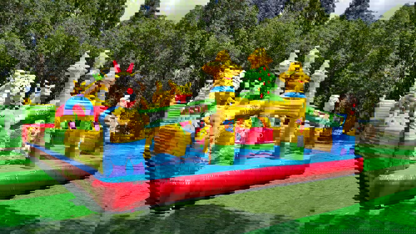 Отдых Отель Wellness Park Hotel Gagra - Детская площадка