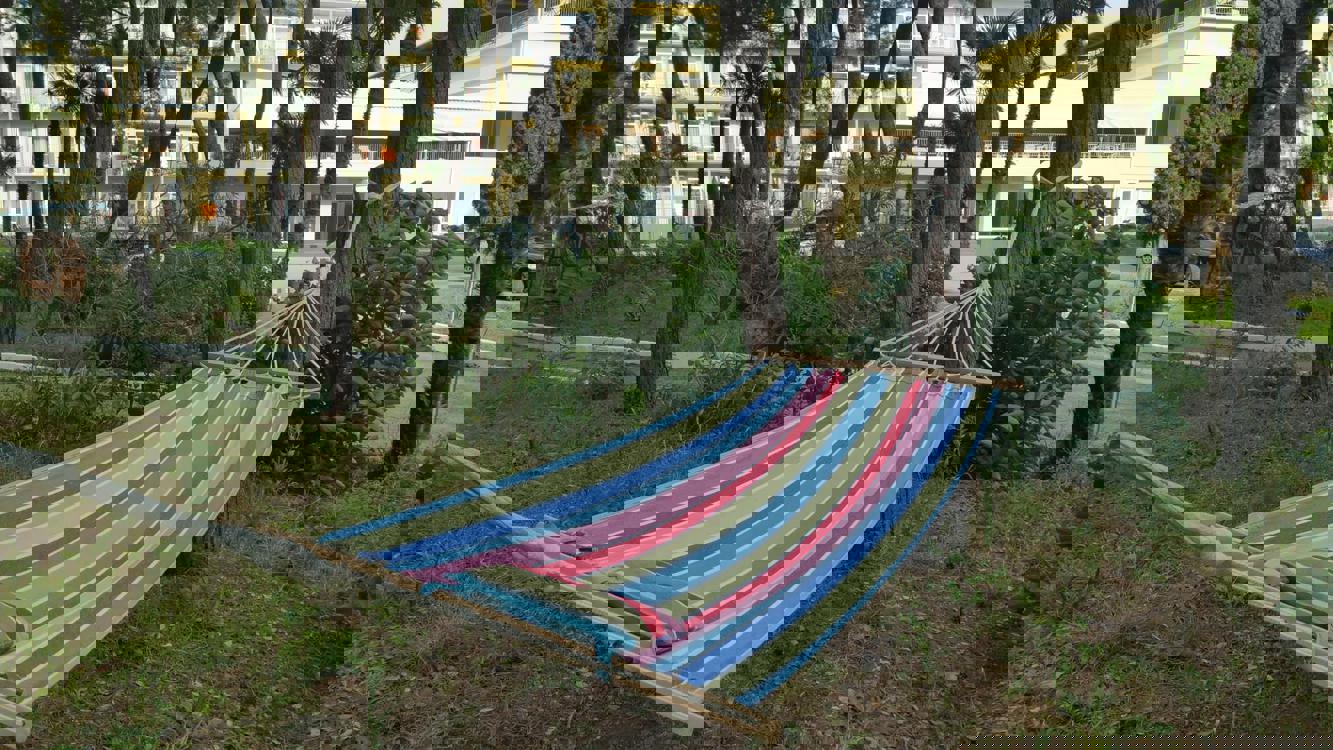 Отдых Отель Wellness Park Hotel Gagra - Территория