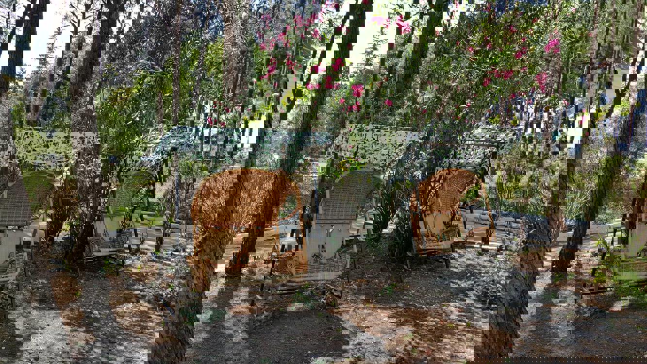 Отдых Отель Wellness Park Hotel Gagra - Территория