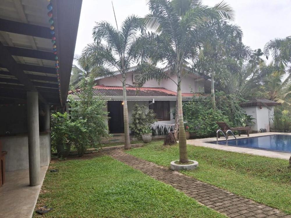 Отдых Отель Villa Pearl Mangrove - Территория