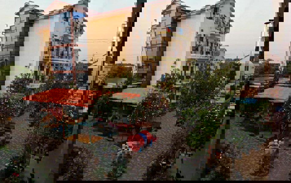 Отдых Отель Фламинго - Территория