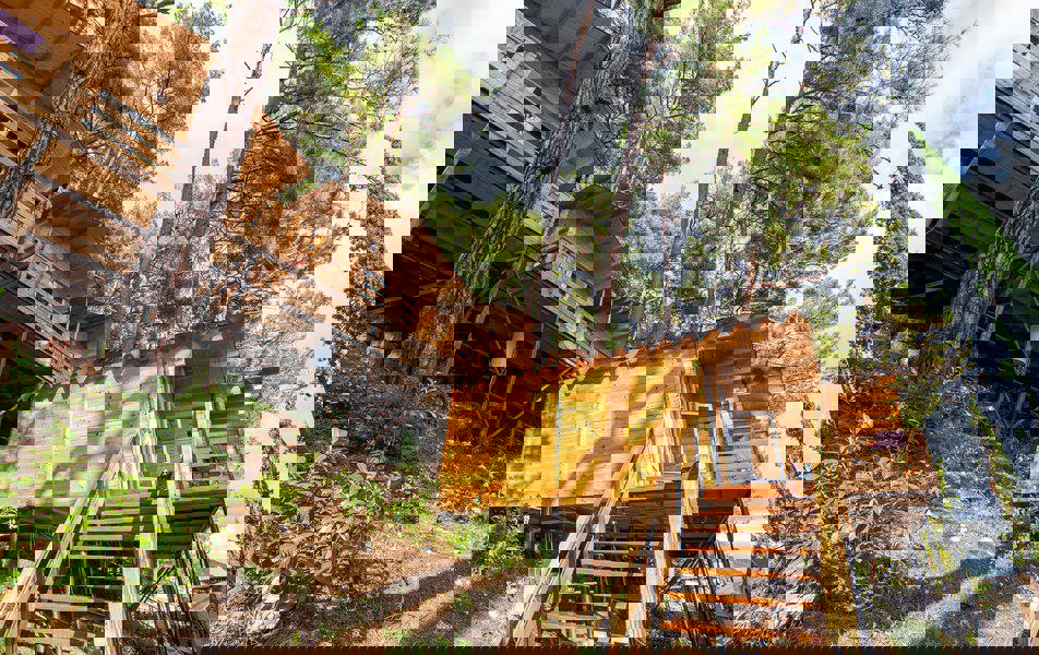 Отдых База отдыха Солнечный летний - Деревянный домик