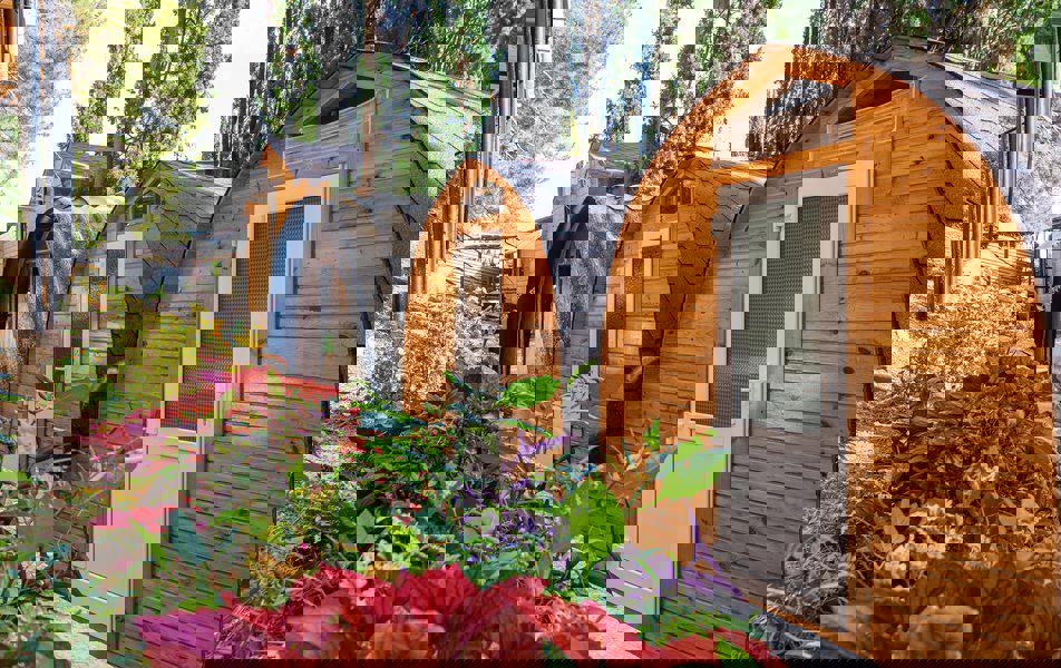 Отдых База отдыха Солнечный летний - Деревянный домик 2-местный