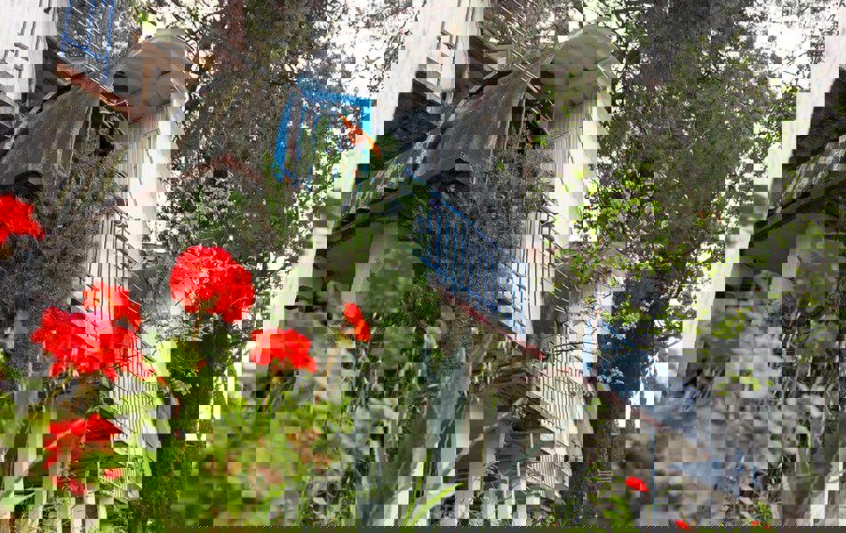 Отдых База отдыха Солнечный летний - Домик «Бочка»