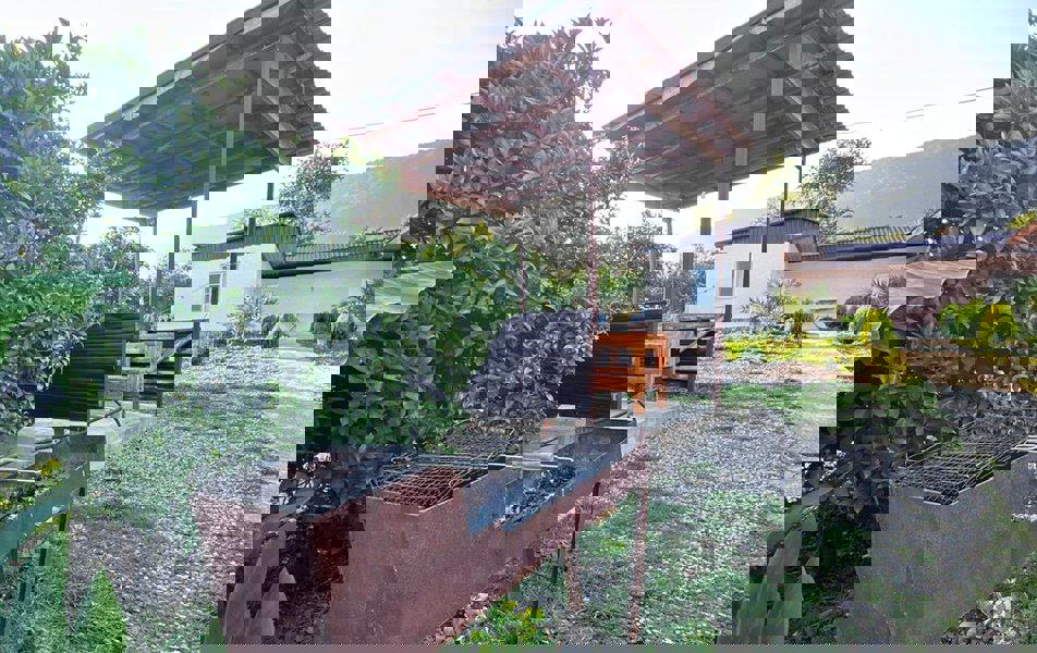 Отдых Гостевой дом Леон - Мангал