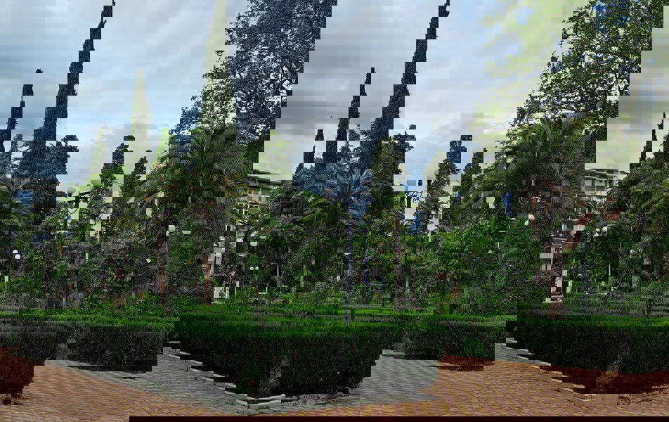 Отдых Отель Черноморец - Территория