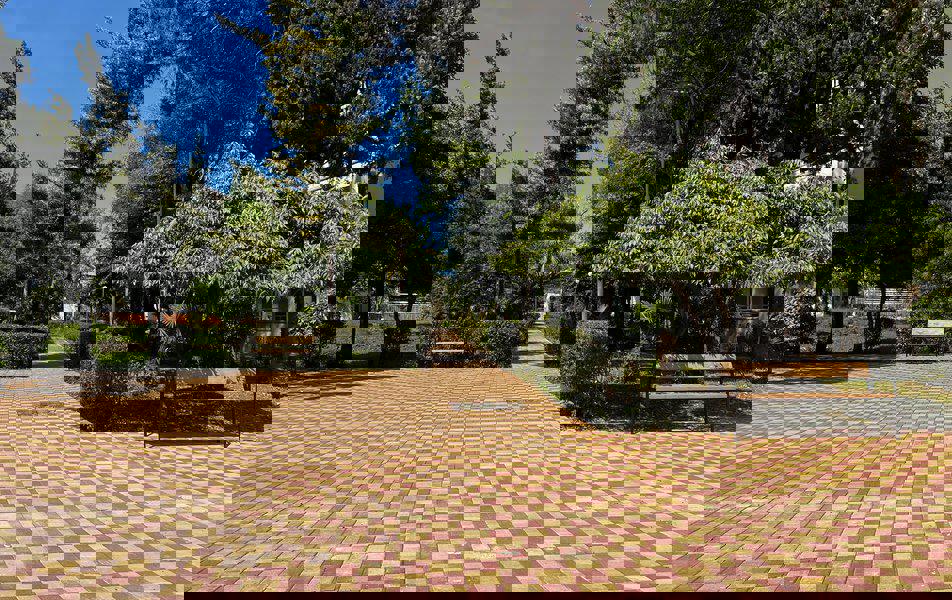 Отдых Отель Черноморец - Территория