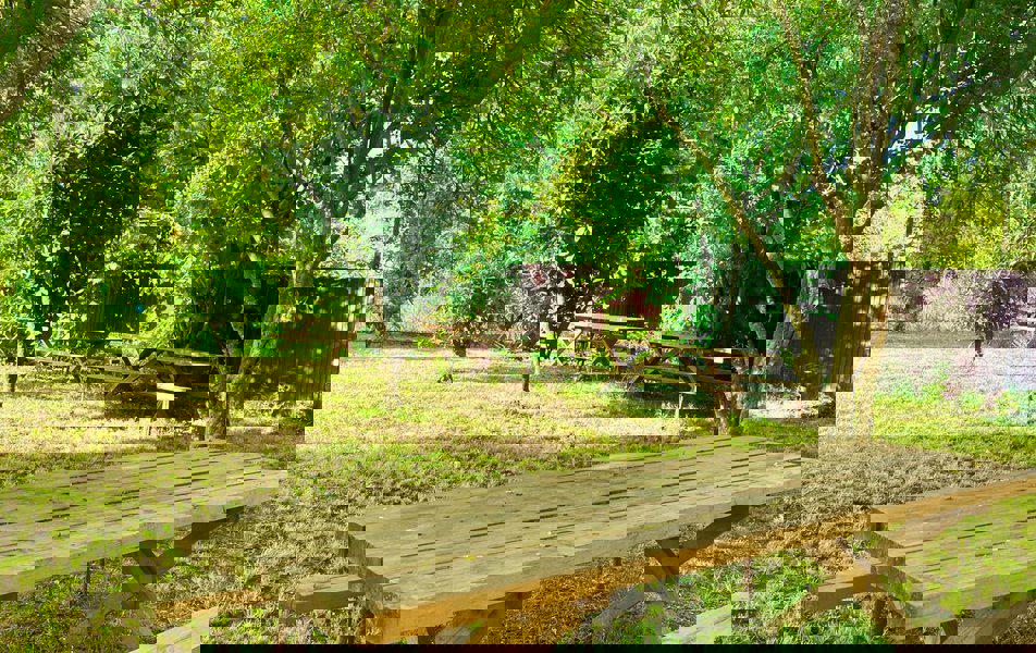 Отдых Отель Дива - Территория