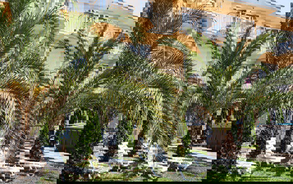 Отдых Отель Дива - Территория