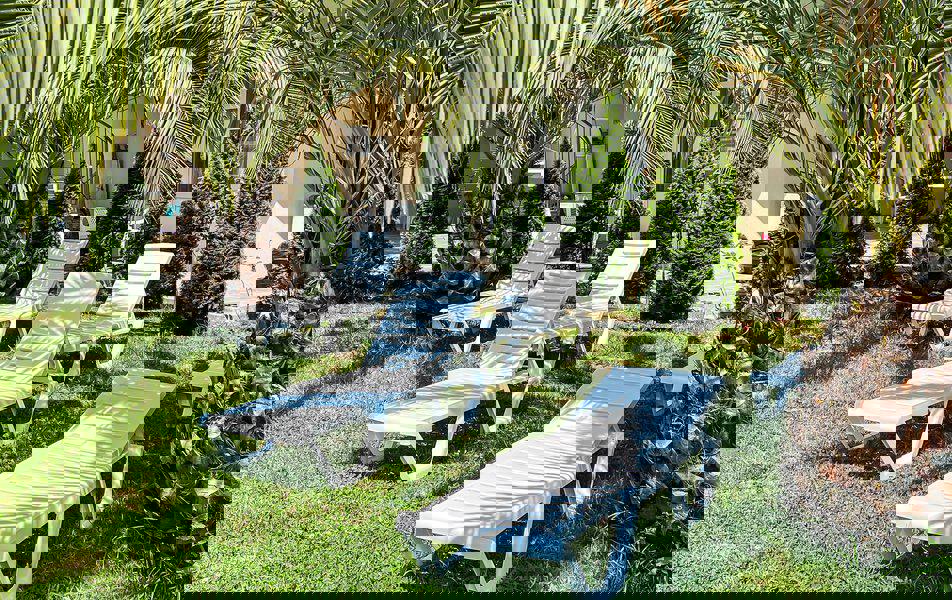 Отдых Отель Дива - Территория