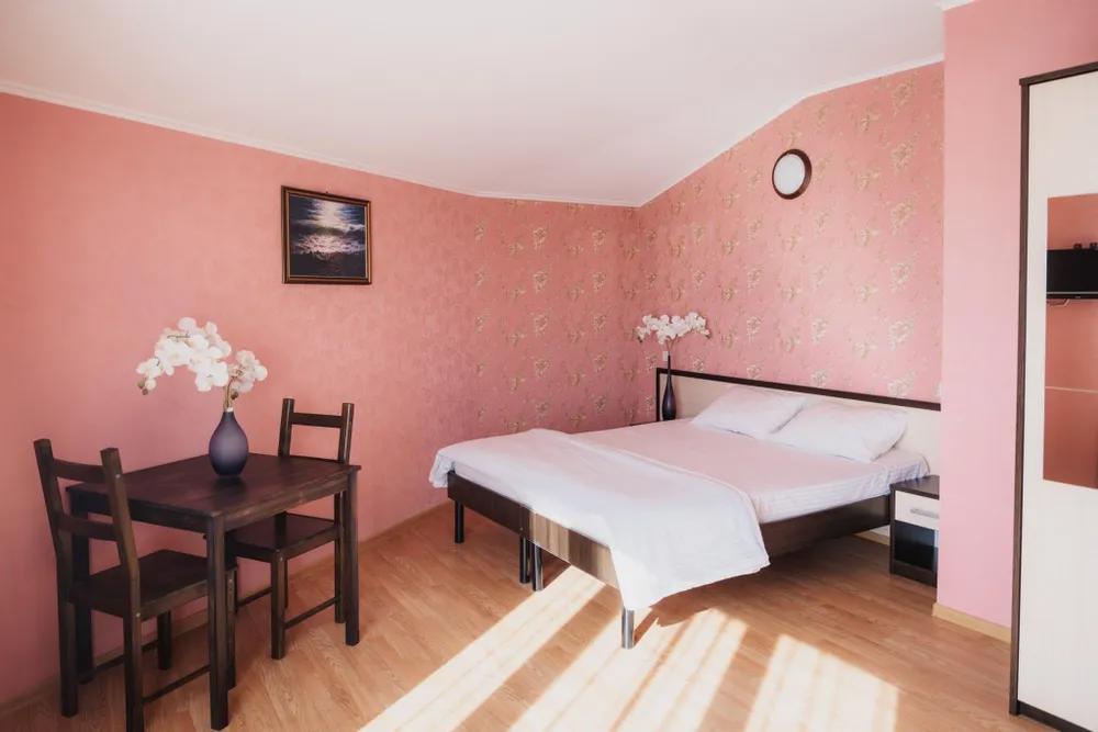 Отдых Гостевой дом Большая Черепаха - 2-х местный номер