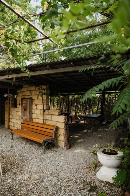 Отдых Гостевой дом Большая Черепаха - Территория