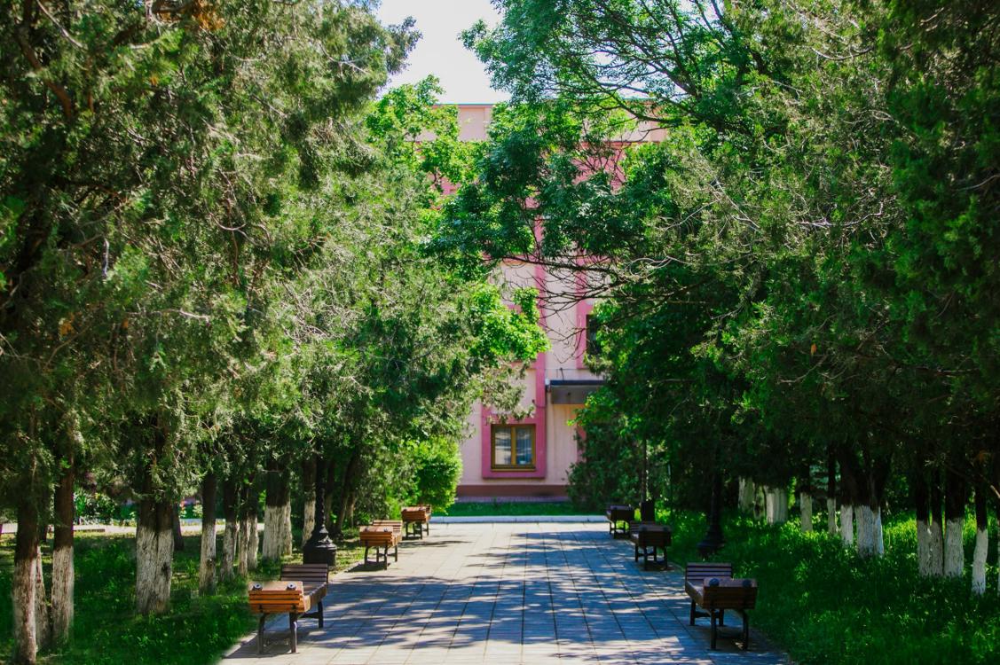 Отдых Санаторий Azimut Здоровье Солнечный - Территория