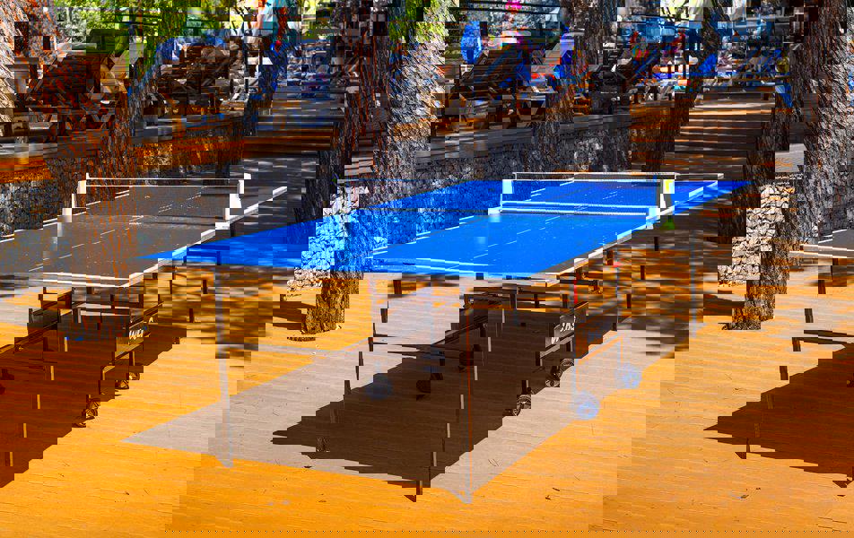 Отдых Санаторий Черноморская здравница Кабардинка - Настольный теннис