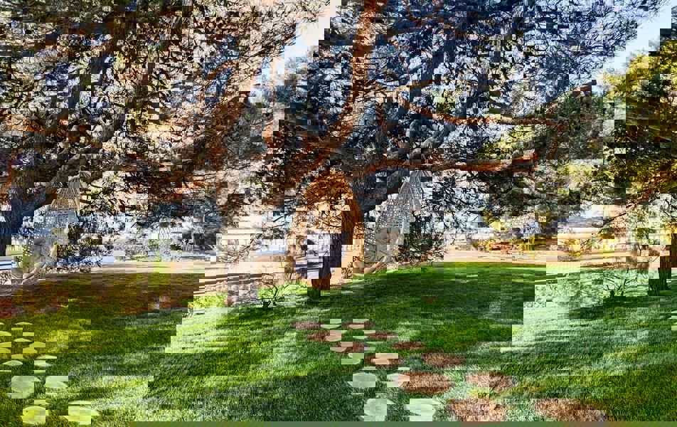 Отдых Санаторий Черноморская здравница Кабардинка - Территория