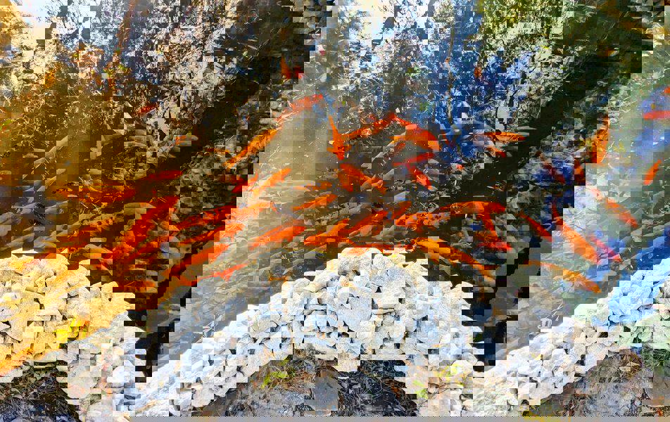 Отдых Санаторий Черноморская здравница Кабардинка - Территория