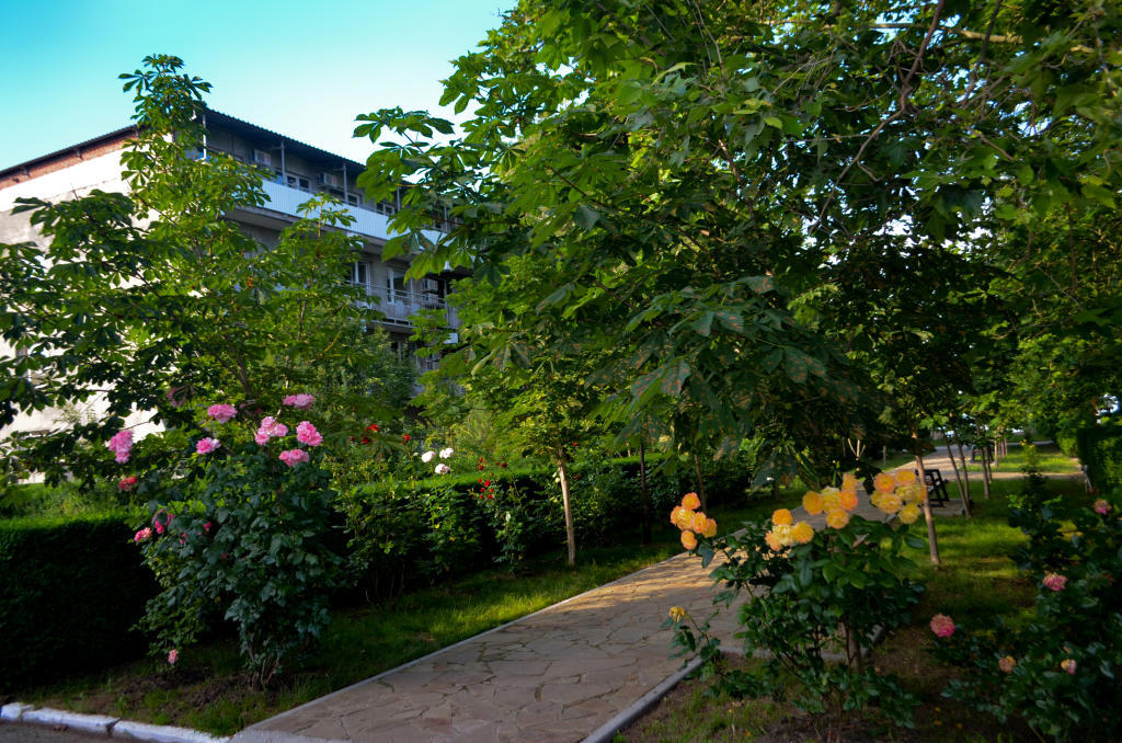 Отдых Отель Южный берег - Территория