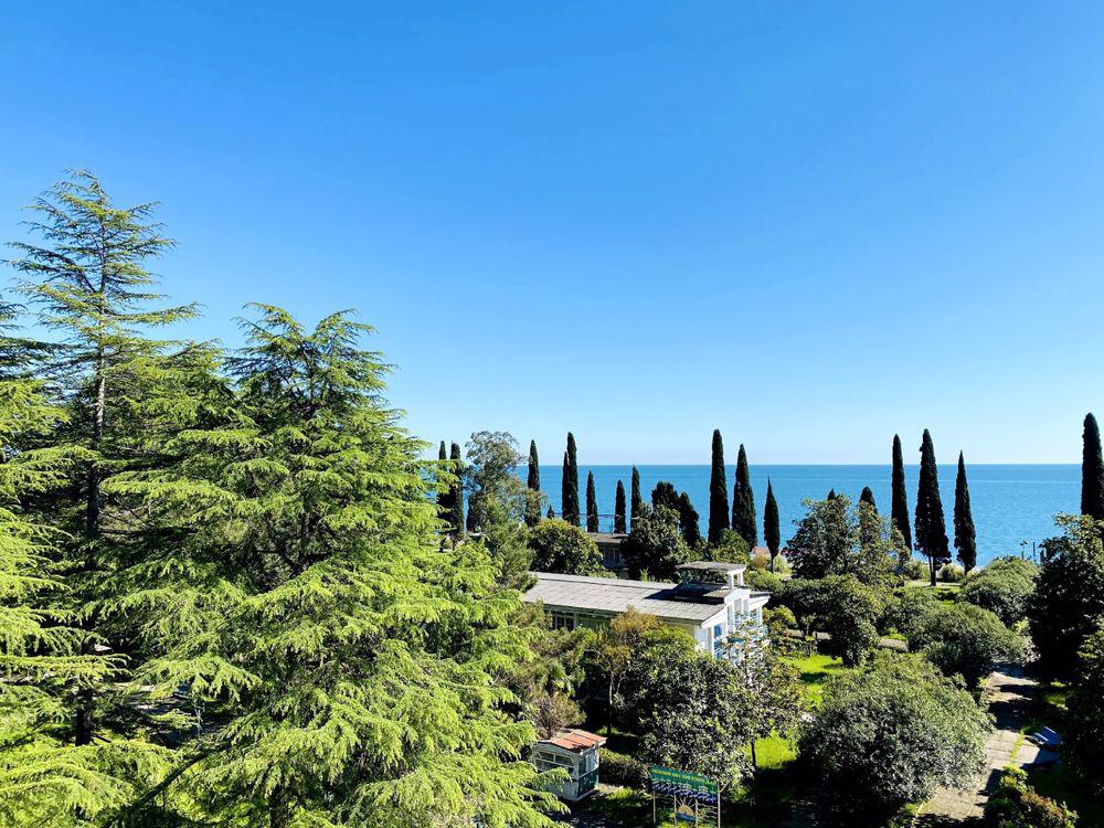 Отдых База отдыха Псоу - Территория