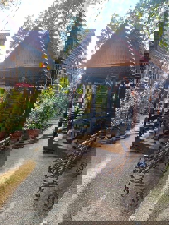 Отдых Гостевой дом Сосновый бор - Территория