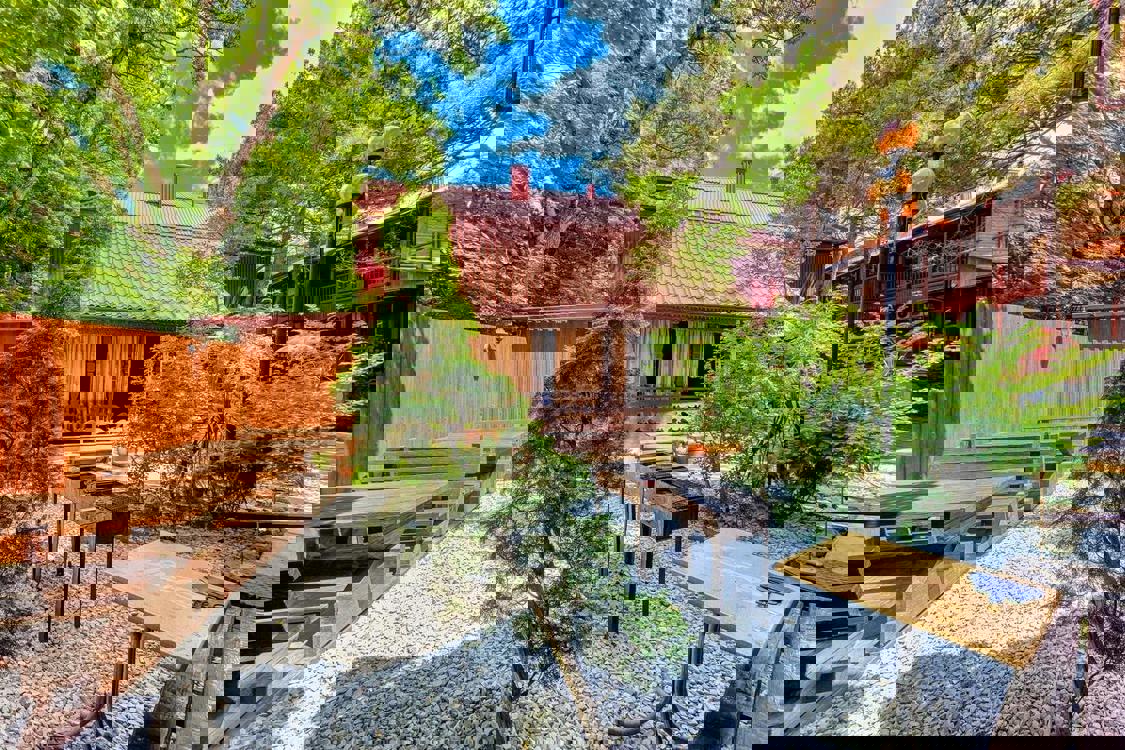 Отдых Гостевой дом Сосновый бор - Территория