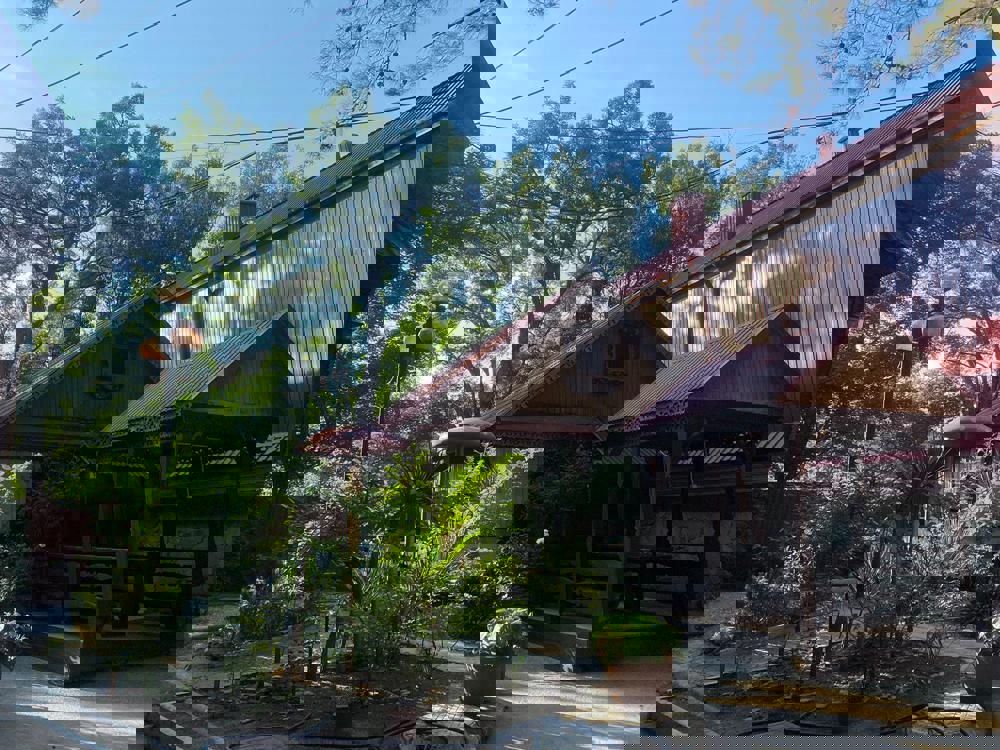 Отдых Гостевой дом Сосновый бор - Территория