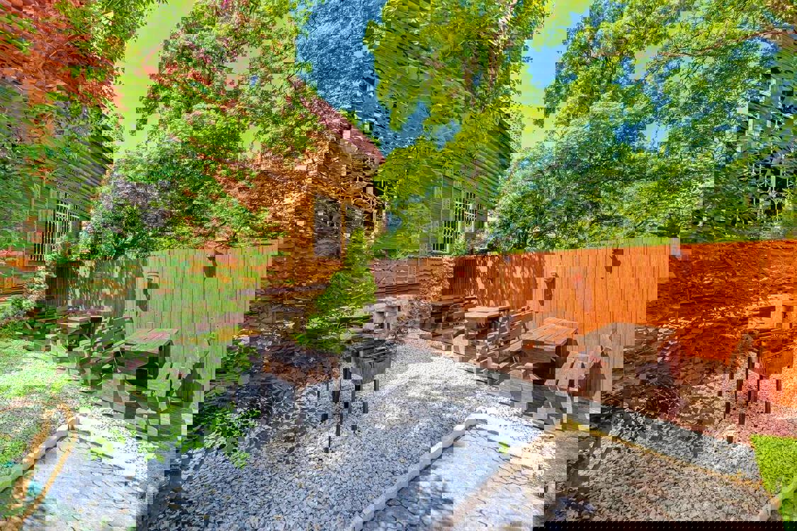 Отдых Гостевой дом Сосновый бор - Территория