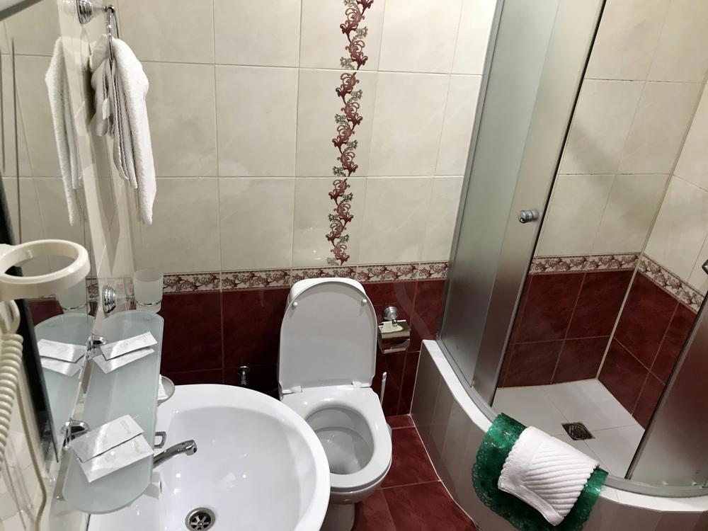 Отдых Отель Давид Олимпик - WC