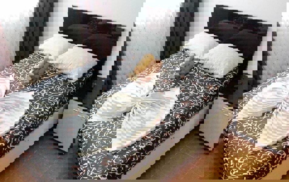 Отдых Гостевой дом Алекса - Комфорт 2-местный