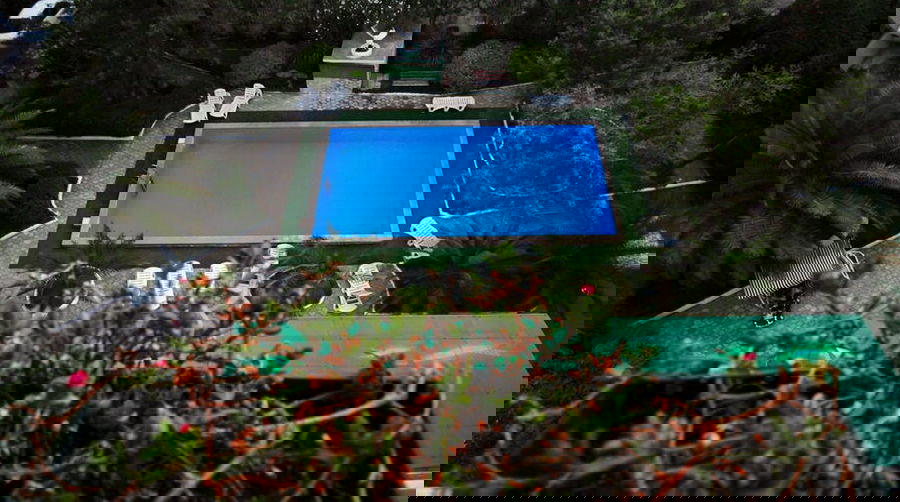 Отдых Отель Albatros - Бассейн