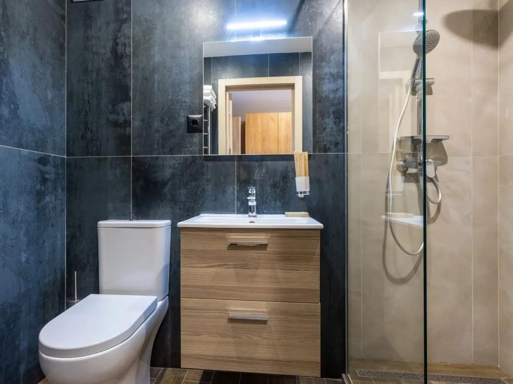 Отдых Отель Alean Select Altair - WC