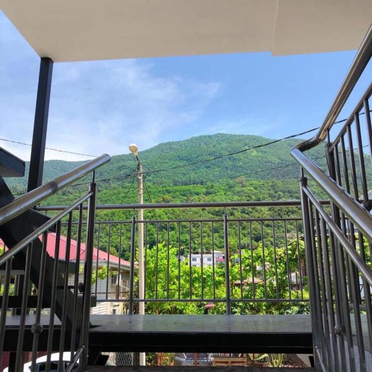 Отдых Гостевой дом Дея - Вид со двора