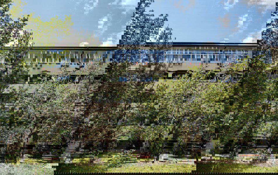 Отдых Отель Ателика Лесная бухта - Территория, корпус 2