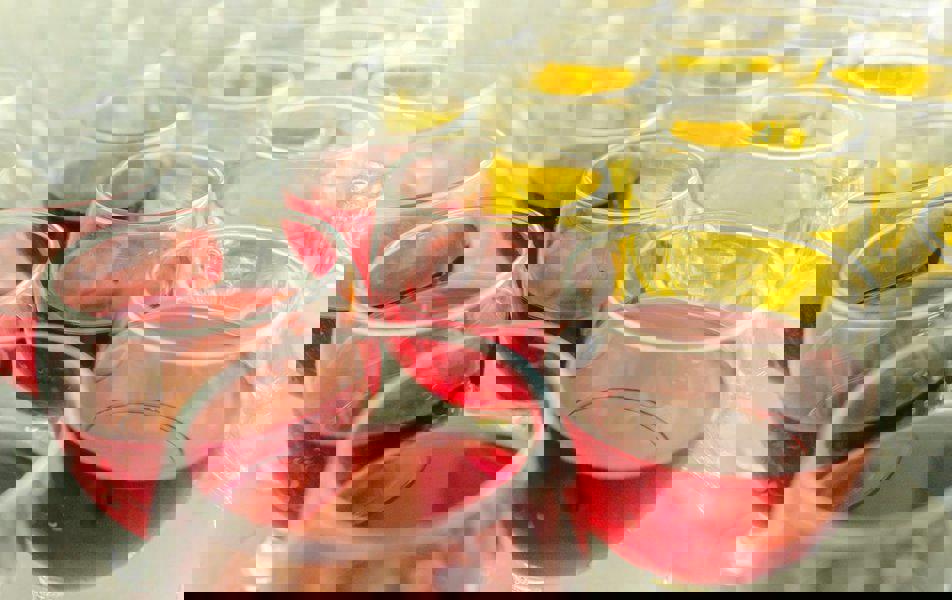 Отдых Отель Ателика Гранд Оазис - Основной ресторан, шведская линия