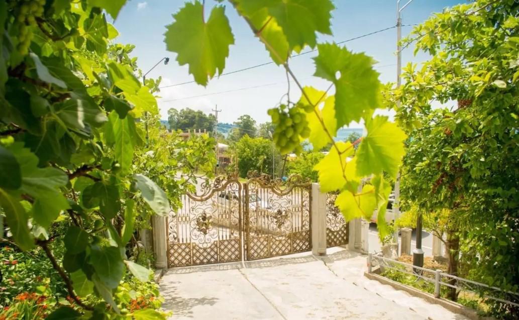 Отдых Гостевой дом Эдельвейс - Двор