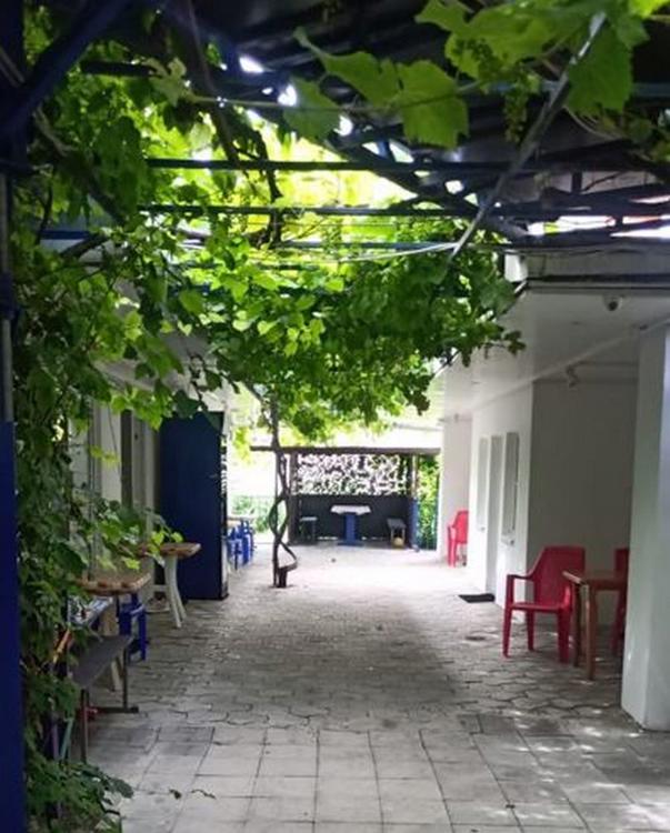 Отдых Гостевой дом На Гоголя 105 - Территория